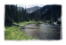2002 Reunion at Colorado